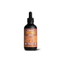 Shiitake-Pilzextrakt