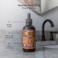 Shiitake-Pilzextrakt