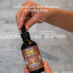 Shiitake-Pilzextrakt