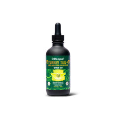 Schmetterlings-Trameten-Extrakt 