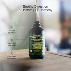 Schmetterlings-Trameten-Extrakt 