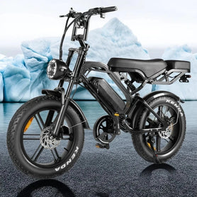Lagads V20Pro Ebike 750W 15.6AH Mountain 20 Fat Tire 45KM/H Electric Bicycle