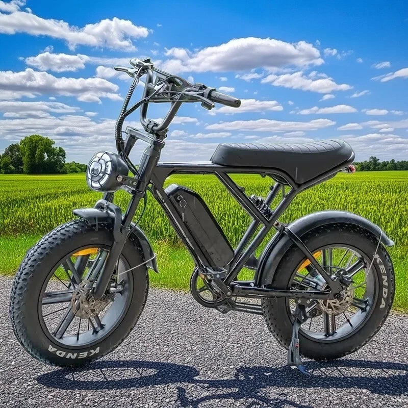 Lagads H9 Electric Bicycle Ebike Hydraulic Brake 48V 15Ah 750W 20 "Fat Tire"