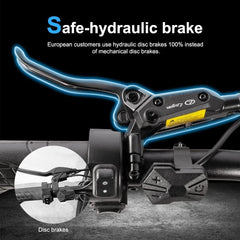 Lagads V20Pro Ebike 750W 15.6AH Mountain 20 Fat Tire 45KM/H Electric Bicycle